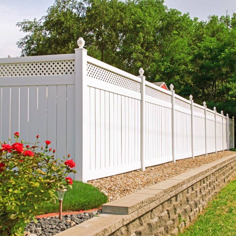 White vinyl privacy fence with lattice accent and rose landscaping